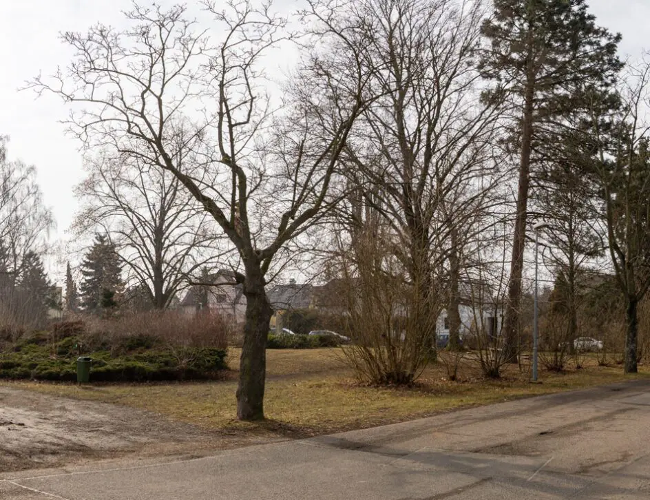 2025_02_26_8746-Pano