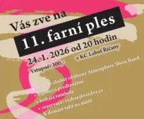 11. Farní ples