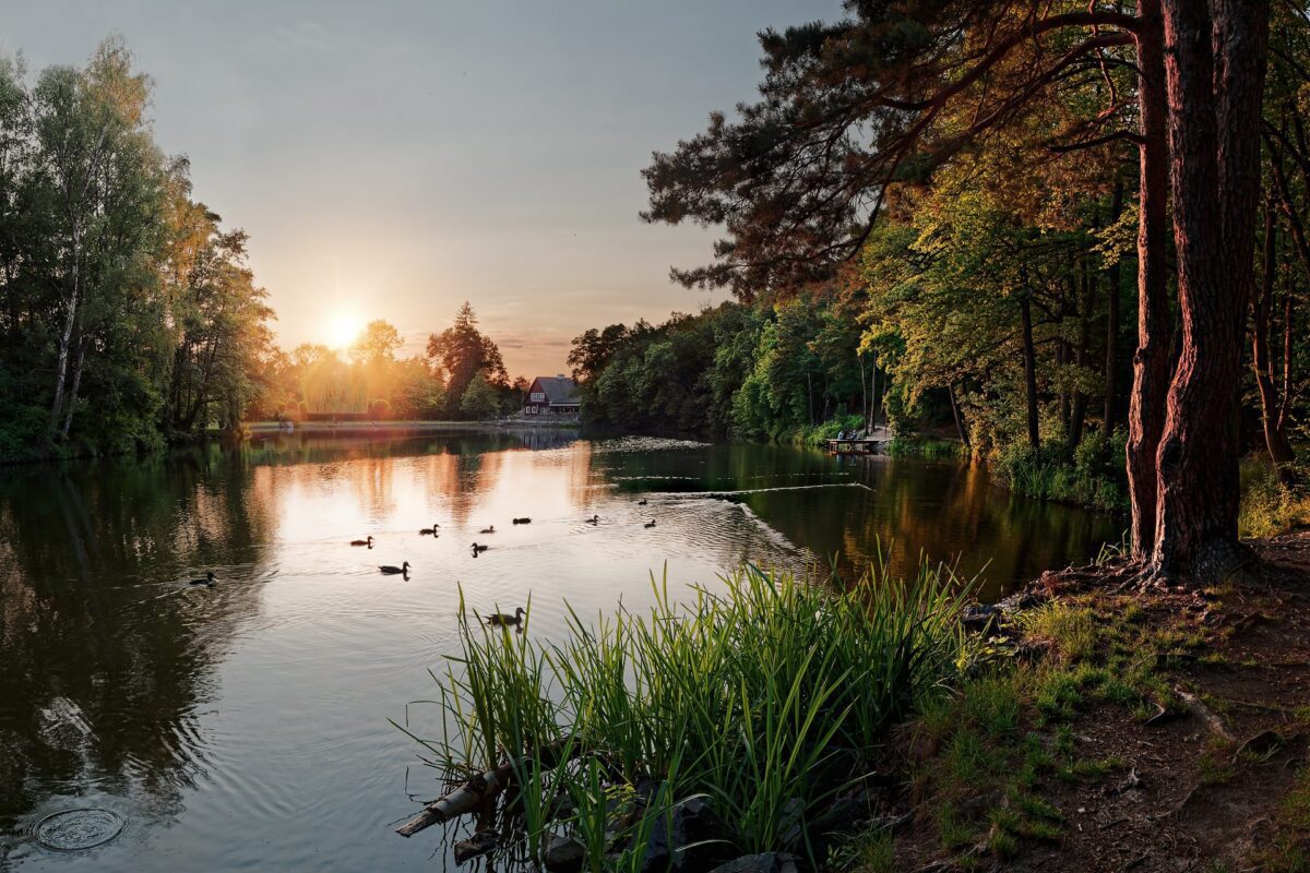 Město Říčany – rybník Jureček