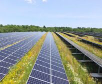 Fotovoltaické elektrárny podporujeme, ale nechceme, aby zabíraly obrovské plochy na loukách a polích