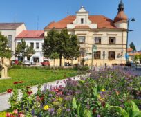 Vystavte nám pololetní vysvědčení. Chceme vědět, co vás potěšilo, ale i co vás trápí.