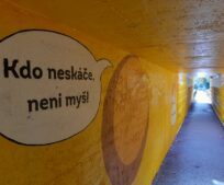 Podchod pod železniční tratí v ulici Scheinerova (takzvaná myší díra) dostal novou výzdobu.