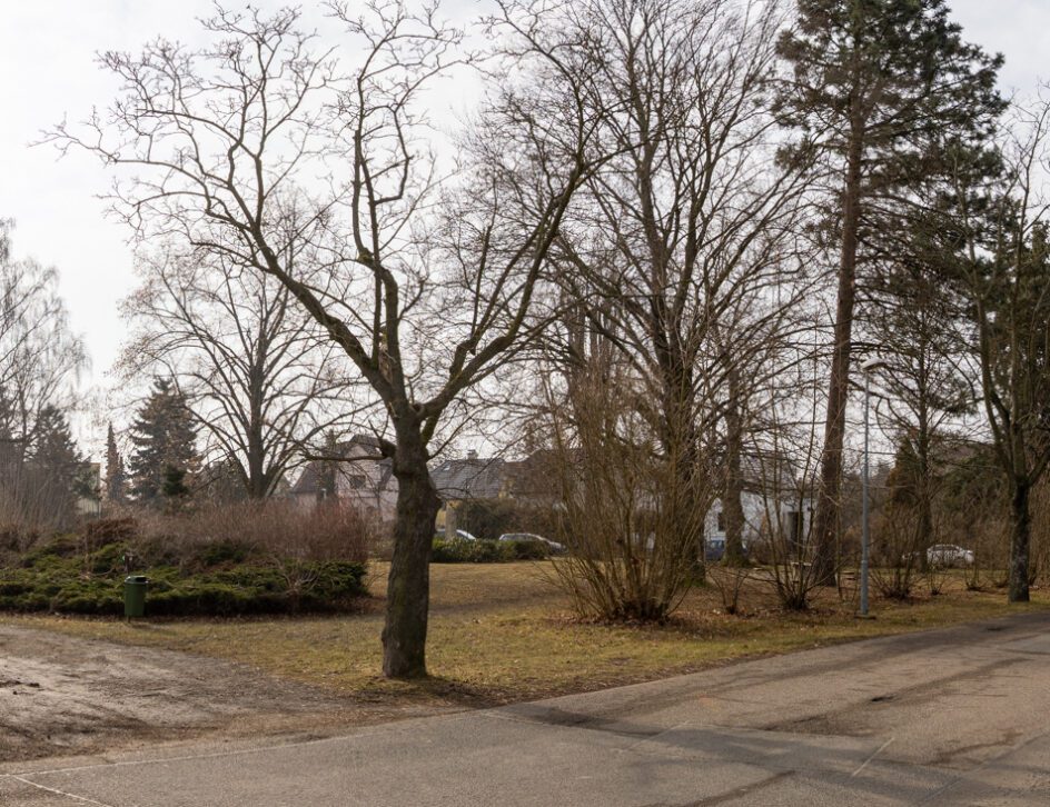 2025_02_26_8746-Pano