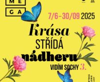Zveme vás na vernisáž třetího ročníku výstavy Vidím sochy – Krása střídá nádheru.