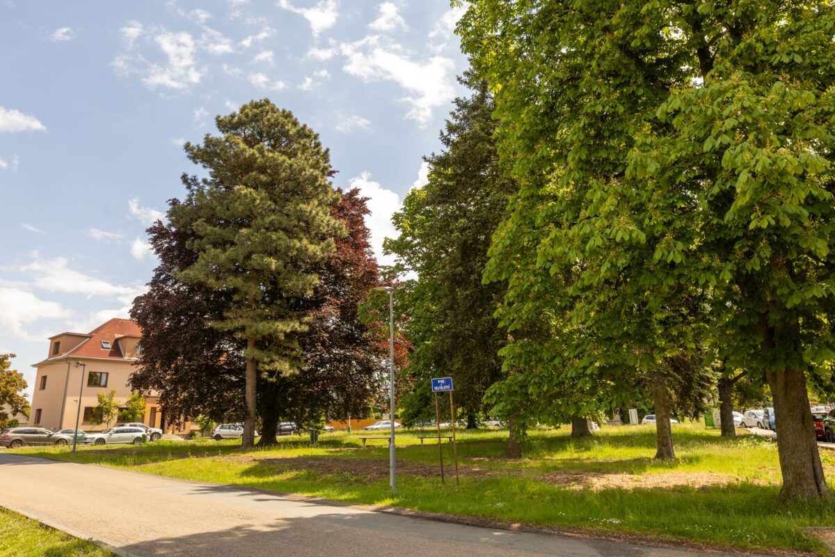 park-cslarmady3