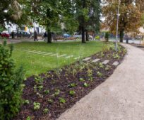Park ČSL armády ožil díky mladým zahradníkům. Škola z Mělníka ovládla Lipovou ratolest 2025!