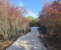 Říčanský trail už je hotový! Na jaře 2026 se těšte na bikerskou show