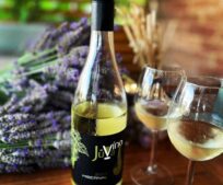 HUSO-VÍNO-BRANÍ je zpět. Letošní ročník bude větší, voňavější a chutnější!