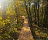 Nová dřevěná stezka podél Říčanského potoka zve k procházkám přírodou
