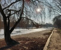 Marvánek byl po podzimním výlovu ponechán vypuštěný. Vymrznutí zlepší kvalitu vody. 