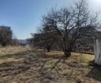 Na Komenského náměstí u nové školy začínáme tvořit park. Na Komenského náměstí u nové školy začínáme tvořit park.