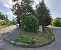 Dnes proběhne u křížení ulic Olivova a Thomayerova nezbytné kácení stromů v havarijním stavu. Dnes proběhne u křížení ulic Olivova a Thomayerova nezbytné kácení stromů v havarijním stavu.